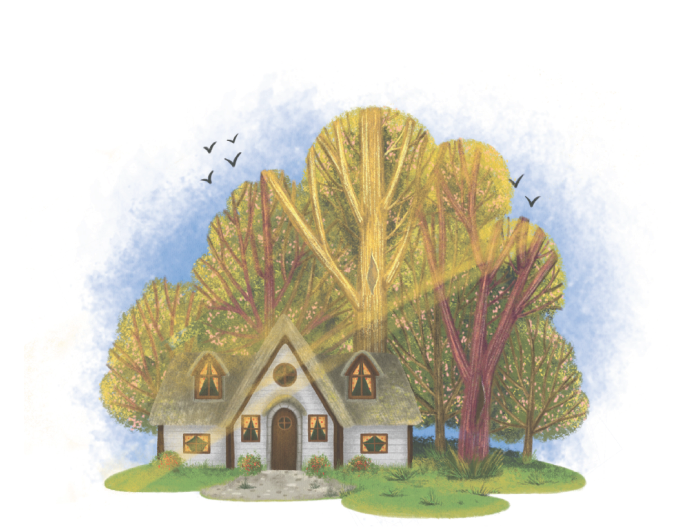 house in the forest illustration for love rays book